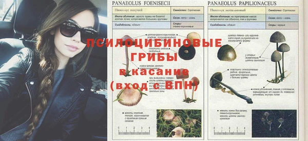 мдпв Алексин