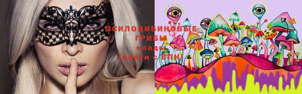 молекула духа Алексеевка