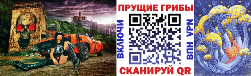 Галлюциногенные грибы Psilocybe  магазин продажи   KRAKEN ссылки  Байкальск 